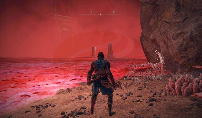 Elden Ring Ranni Quest-3